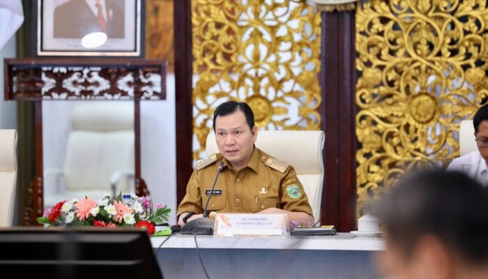 Pj Gubernur Elen Setiadi Jamin Penyerapan  Gabah Petani di Sumsel Bakal Lebih Maksimal