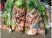 Bumbu Dapur, Rahasia Sehat Tradisional yang Semakin Populer di Tengah Masyarakat Modern
