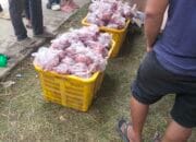 Ini Cara Simpan Daging Kurban Agar Tahan Lama