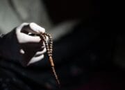 Muharram Tiba! Ini 8 Amalan & Dzikir Terbaik untuk Sambut Tahun Baru Hijriyah